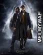 Fantastic Beasts The Crimes of Grindelwald (2018) Hollywood English Movie