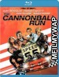 The Cannonball Run (1981) UNCUT Hindi Dubbed Movie