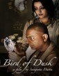 Bird of Dusk (2023) Bengali Full Movies