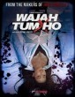 Wajah Tum Ho (2016) Hindi Full Movie