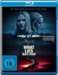 What Lies Below (2020) Hindi Dubbed Movies