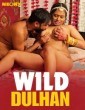 Wild Dulhan (2024) Neonx Hindi Short Film