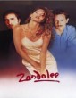 Zandalee (1991) English Movie